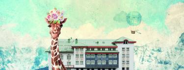 Photo de l'article Edelweiss and flamingos – welcome to the Arlberg