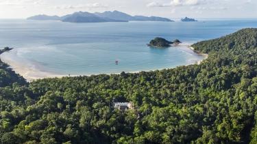 Photo de l'article Malaysia: In the heart of the rainforest